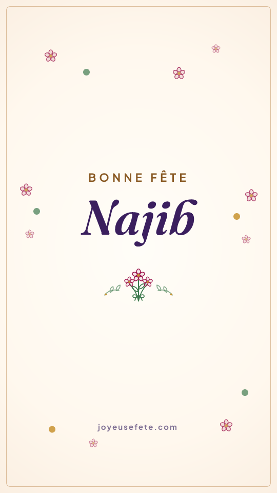 Image « Bonne fête Najib » au format story