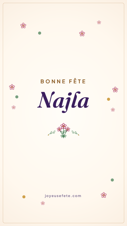 Image « Bonne fête Najla » au format story