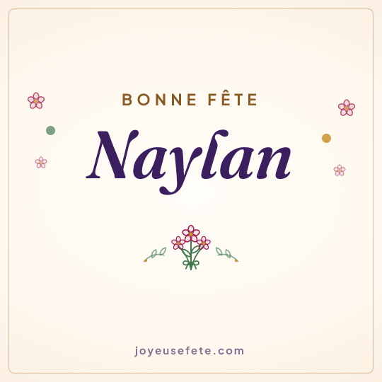 Image carrée « Bonne fête Naylan » pour WhatsApp