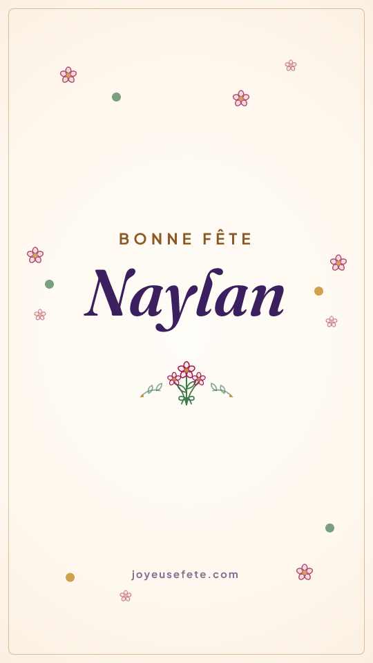 Image « Bonne fête Naylan » au format story