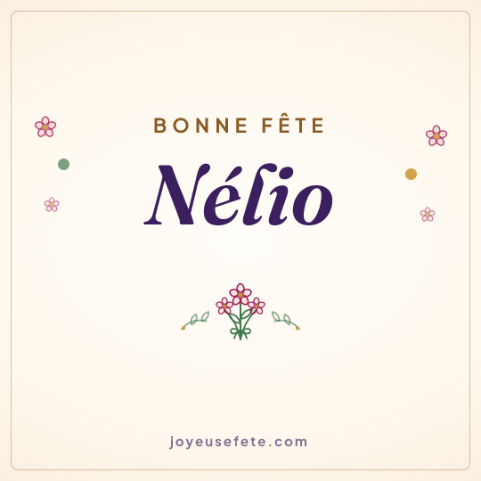 Image carrée « Bonne fête Nélio » pour WhatsApp