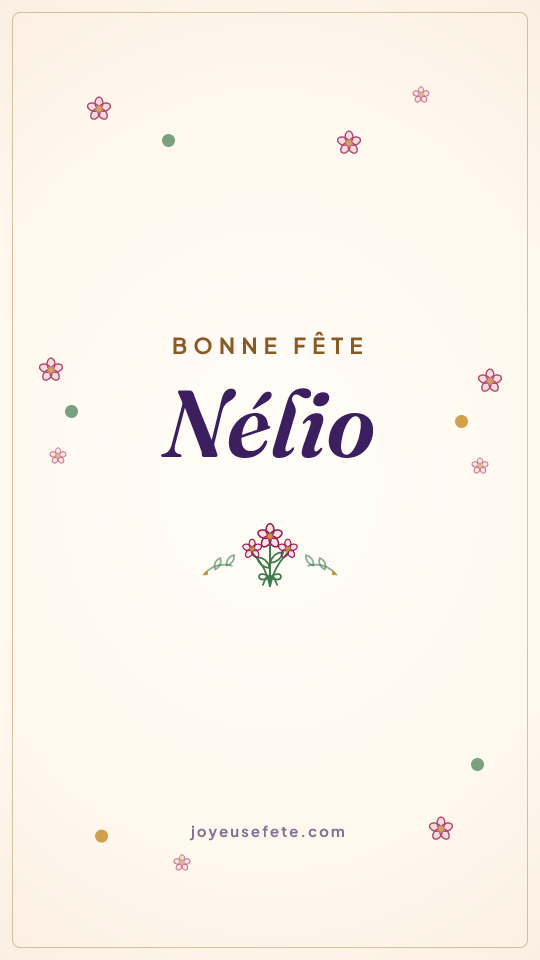 Image « Bonne fête Nélio » au format story