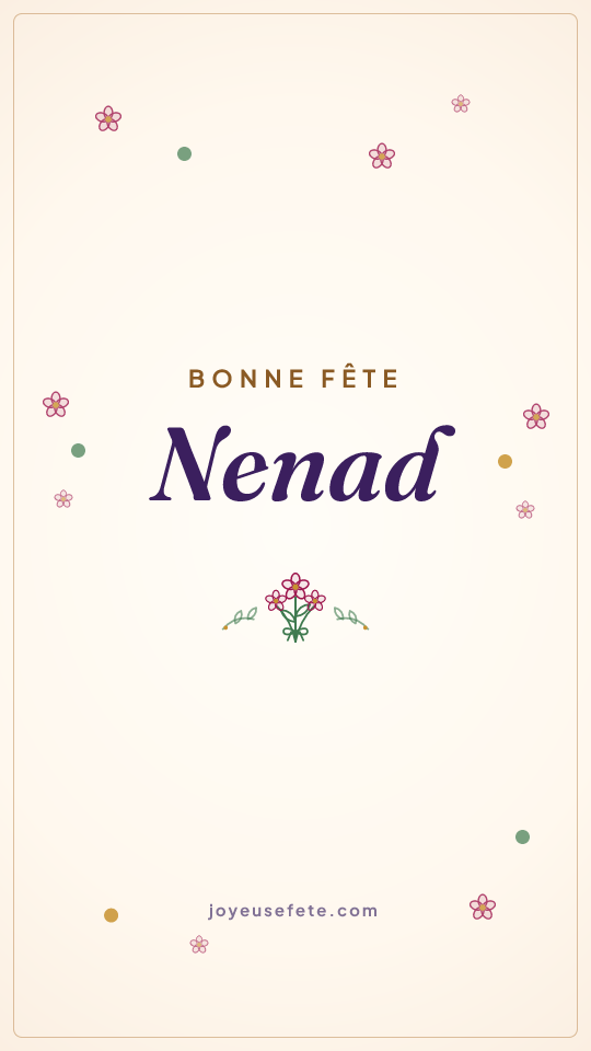 Image « Bonne fête Nenad » au format story