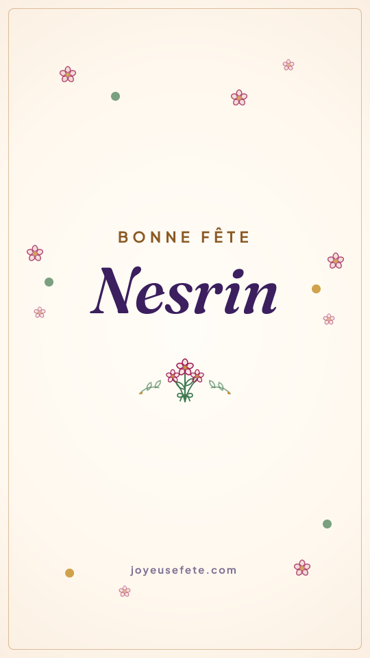 Image « Bonne fête Nesrin » au format story