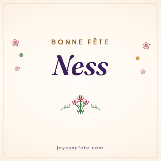 Image carrée « Bonne fête Ness » pour WhatsApp
