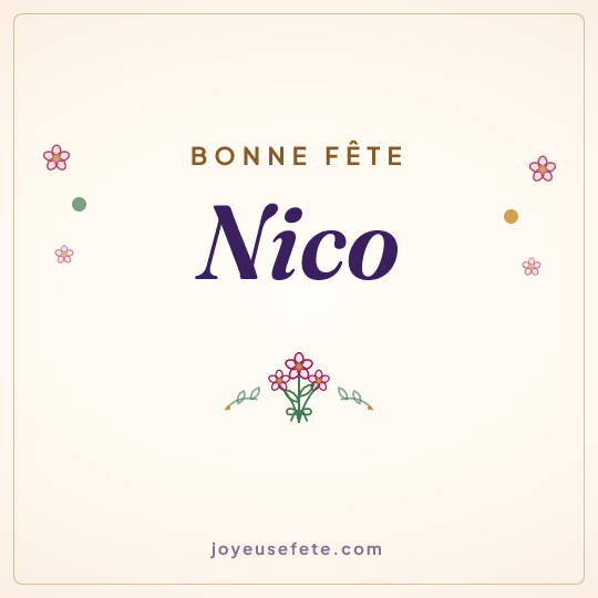 Image carrée « Bonne fête Nico » pour WhatsApp