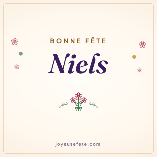 Image carrée « Bonne fête Niels » pour WhatsApp