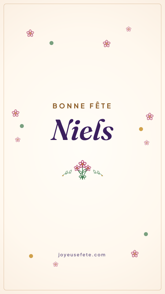 Image « Bonne fête Niels » au format story
