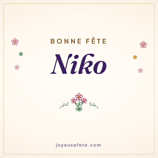 Image carrée « Bonne fête Niko » pour WhatsApp