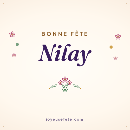Image carrée « Bonne fête Nilay » pour WhatsApp