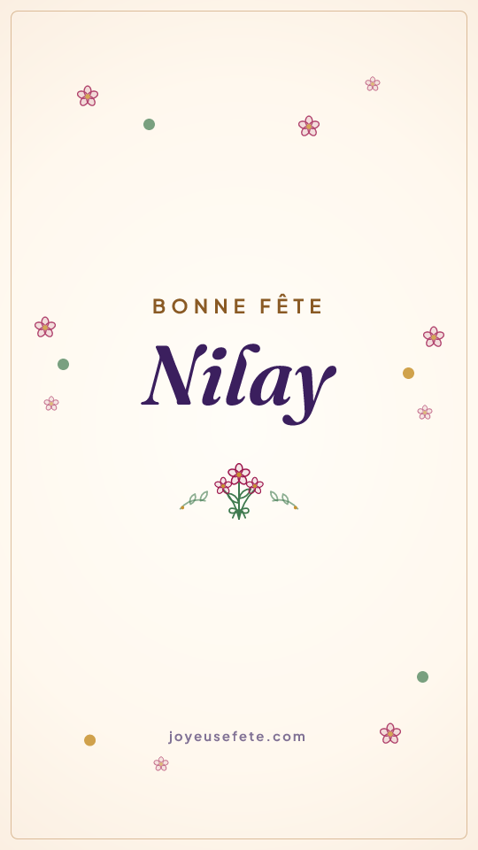Image « Bonne fête Nilay » au format story