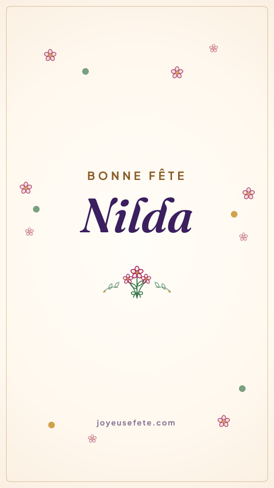 Image « Bonne fête Nilda » au format story
