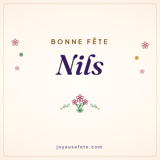 Image carrée « Bonne fête Nils » pour WhatsApp
