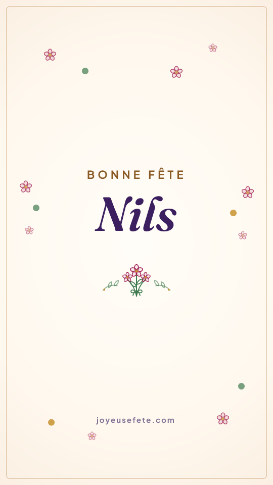Image « Bonne fête Nils » au format story
