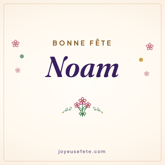 Image carrée « Bonne fête Noam » pour WhatsApp