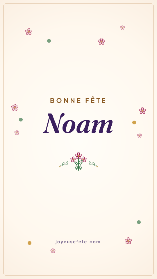 Image « Bonne fête Noam » au format story