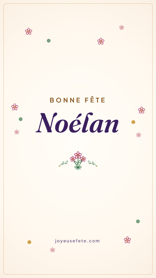 Image « Bonne fête Noélan » au format story
