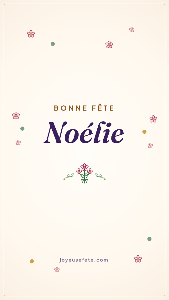 Image « Bonne fête Noélie » au format story