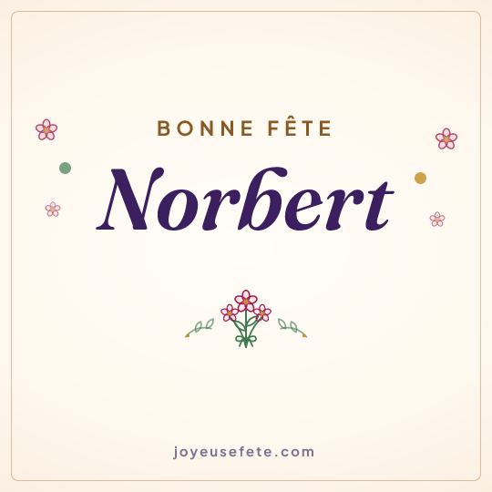 Image carrée « Bonne fête Norbert » pour WhatsApp