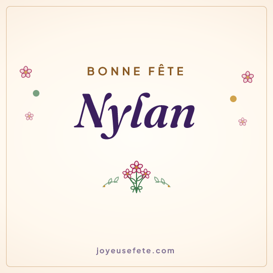 Image carrée « Bonne fête Nylan » pour WhatsApp