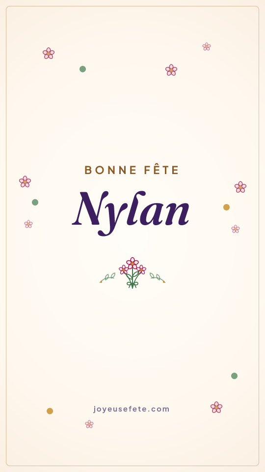 Image « Bonne fête Nylan » au format story
