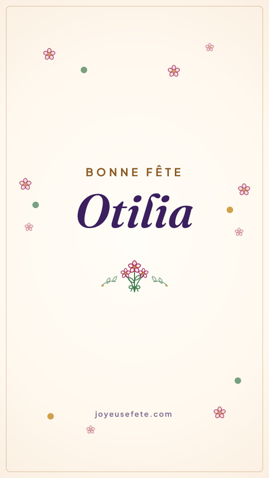 Image « Bonne fête Otilia » au format story