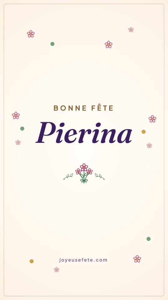 Image « Bonne fête Pierina » au format story