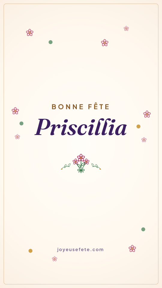 Image « Bonne fête Priscillia » au format story