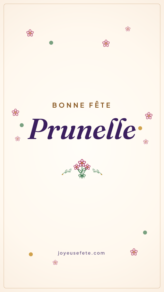 Image « Bonne fête Prunelle » au format story