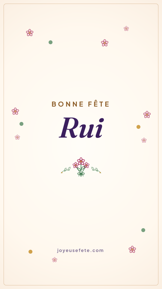 Image « Bonne fête Rui » au format story