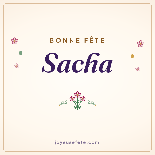 Image carrée « Bonne fête Sacha » pour WhatsApp