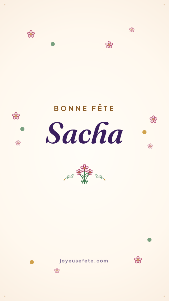 Image « Bonne fête Sacha » au format story