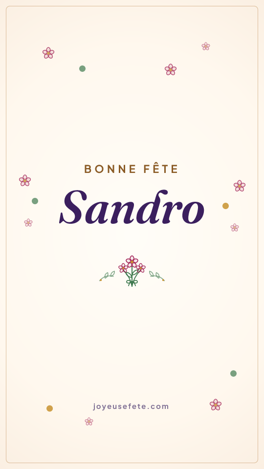 Image « Bonne fête Sandro » au format story