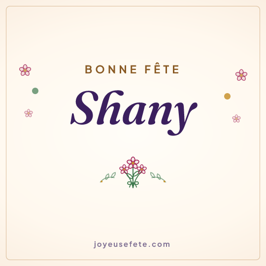 Image carrée « Bonne fête Shany » pour WhatsApp