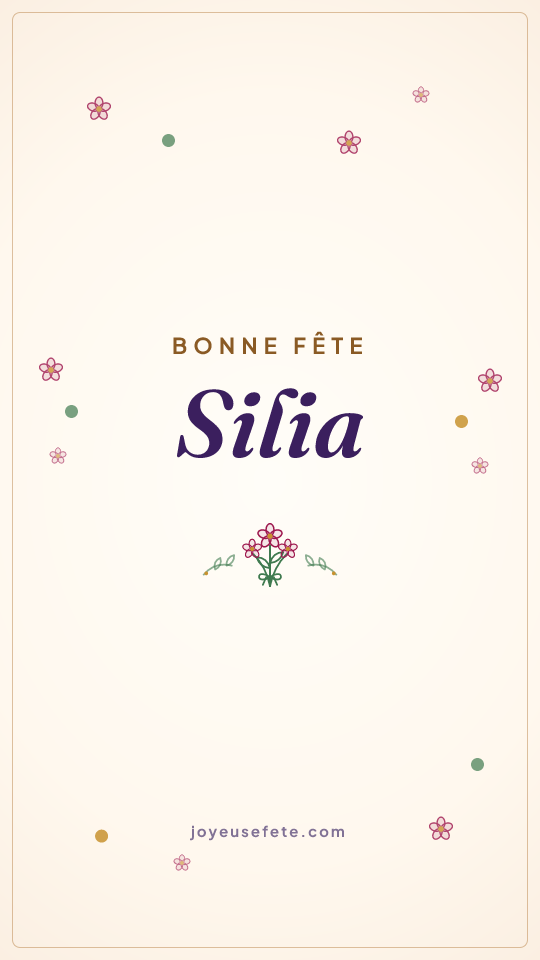 Image « Bonne fête Silia » au format story