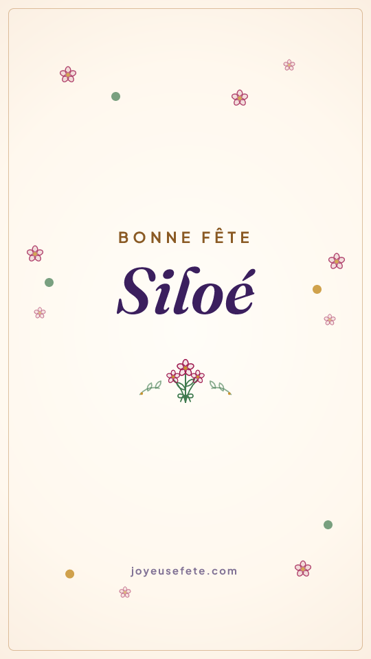 Image « Bonne fête Siloé » au format story