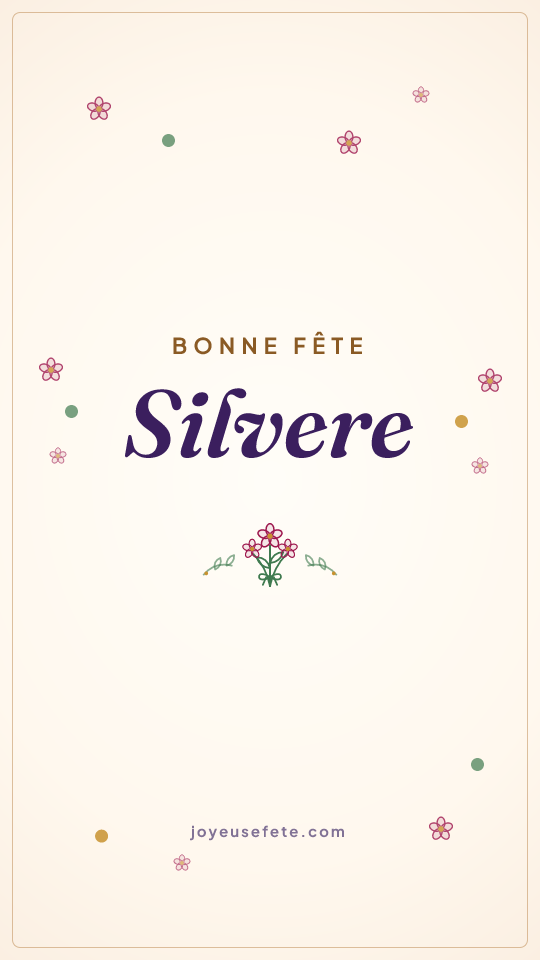 Image « Bonne fête Silvere » au format story