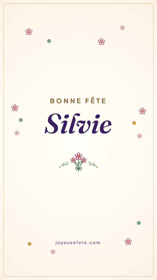 Image « Bonne fête Silvie » au format story