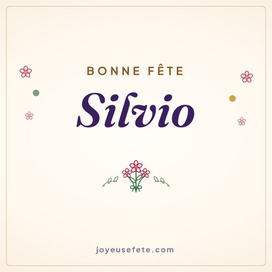 Image carrée « Bonne fête Silvio » pour WhatsApp
