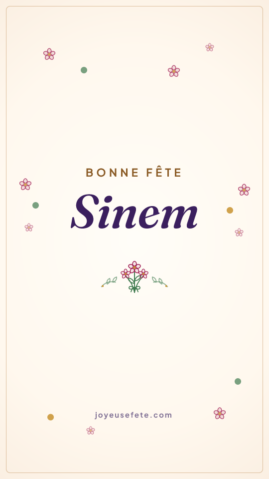 Image « Bonne fête Sinem » au format story