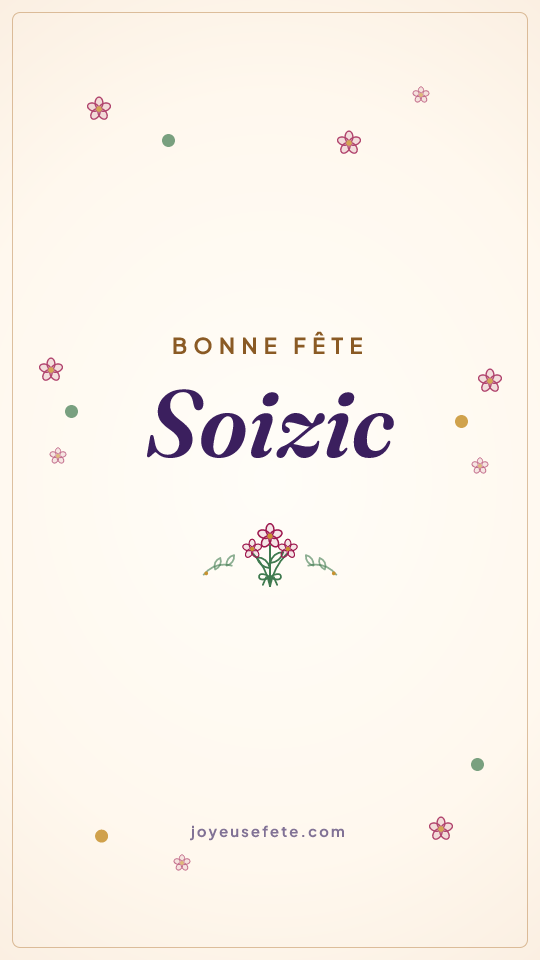 Image « Bonne fête Soizic » au format story