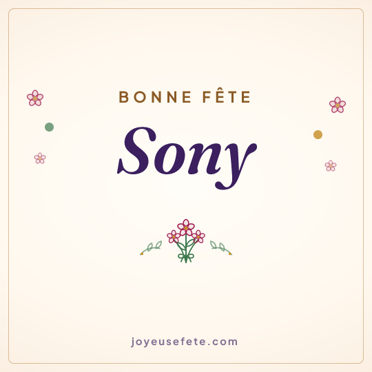 Image carrée « Bonne fête Sony » pour WhatsApp