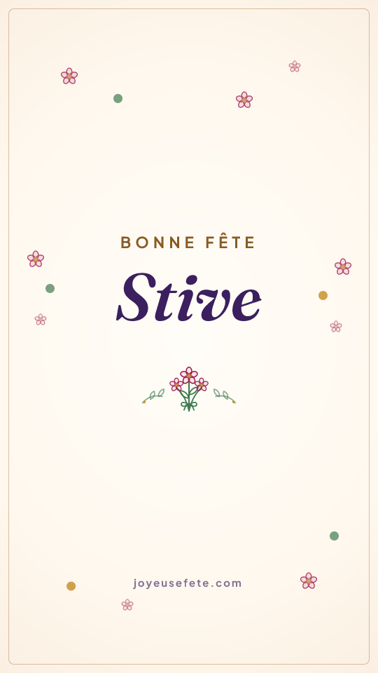 Image « Bonne fête Stive » au format story