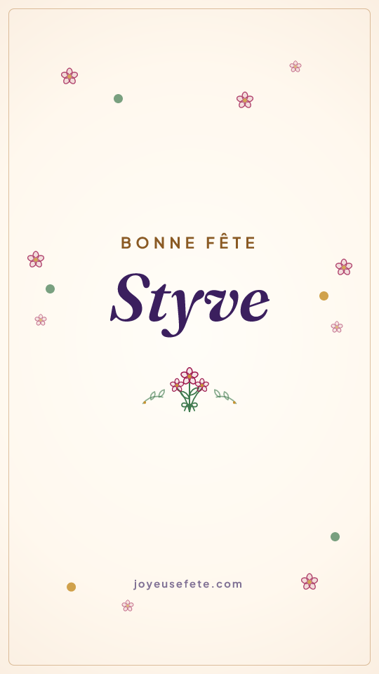 Image « Bonne fête Styve » au format story