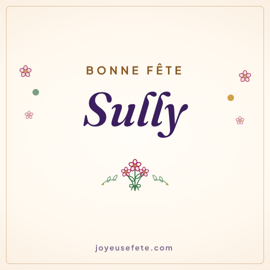 Image carrée « Bonne fête Sully » pour WhatsApp