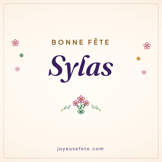Image carrée « Bonne fête Sylas » pour WhatsApp