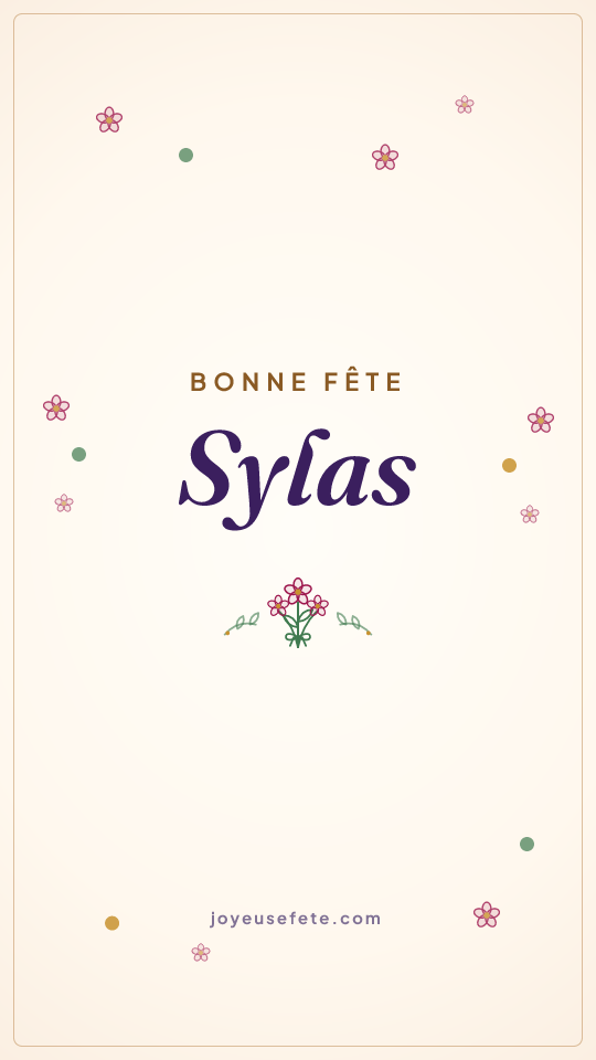 Image « Bonne fête Sylas » au format story