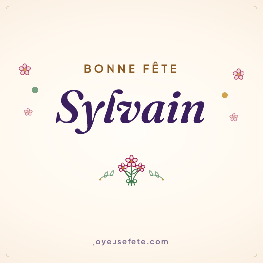 Image carrée « Bonne fête Sylvain » pour WhatsApp