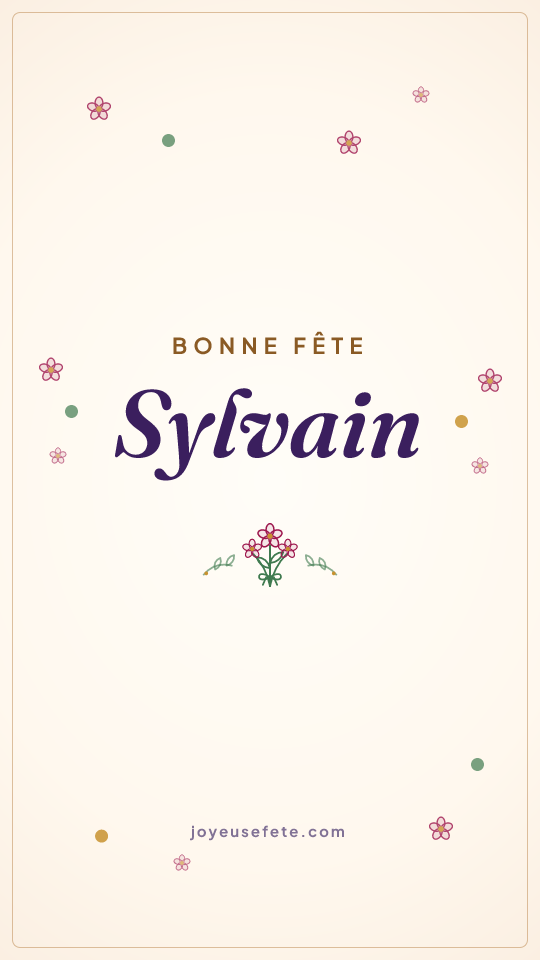 Image « Bonne fête Sylvain » au format story