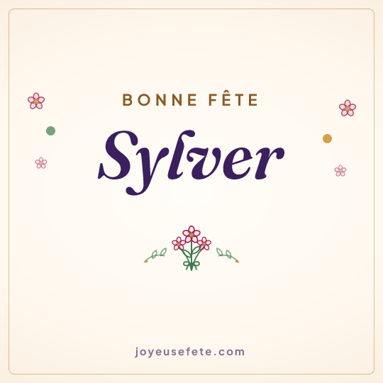 Image carrée « Bonne fête Sylver » pour WhatsApp
